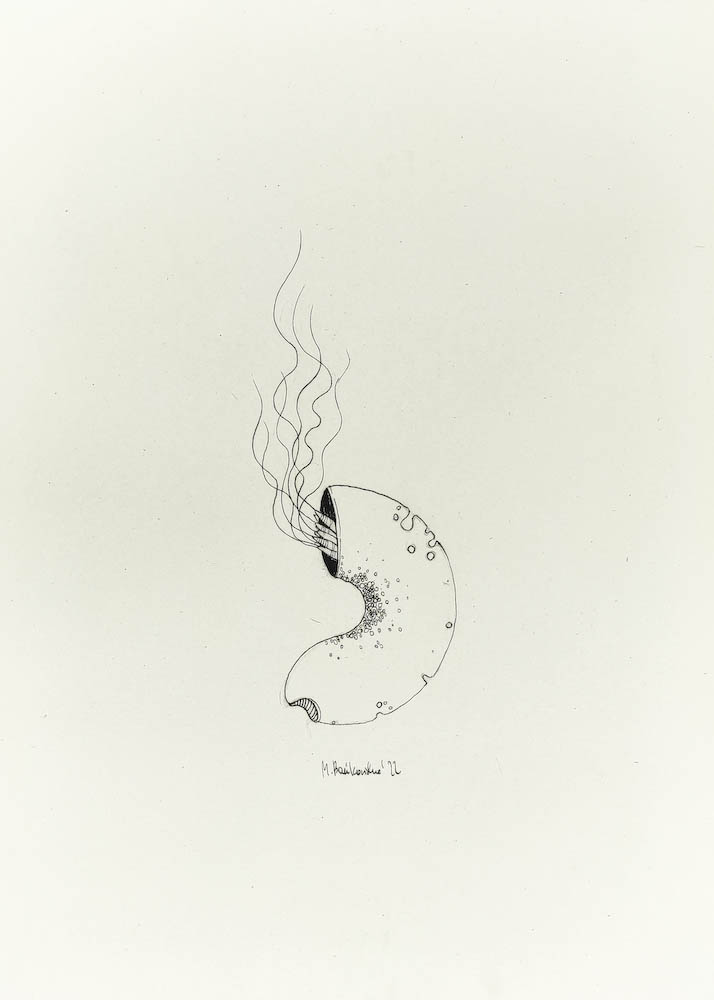 Expansion 2022, Małgorzata Bańkowska mono stereo rysunek tuszem na papierze dystopia ink on paper dystopian art surrealism dystopijna sztuka polska surreal artist